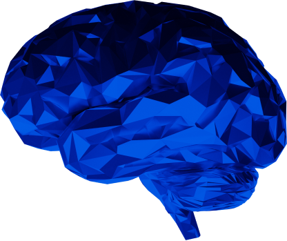 brain